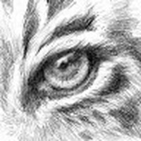 Profile Picture of Jonathan Hankin (@jonathan-hankin-2) on Quora