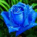 Profile Picture of Myrna Rangel (@myrna.rangel.56) on Facebook