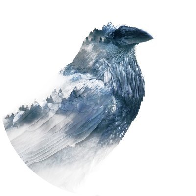 Profile Picture of Adam McD (@QuaffedTheRaven) on Twitter