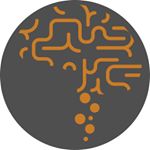 Profile Picture of Dr Sílvio Fernandes (@drsilviofernandesneuro) on Instagram