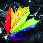 Profile Picture of Michael Van Tonder (@michael_van_tonder) on Instagram