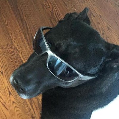 Profile Picture of Shawn Caruso (@ShawnCaruso3) on Twitter