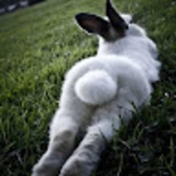 Profile Picture of Cleo Lee (@chloealee09) on Poshmark