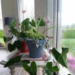 Profile Picture of Audrey Fosse (@audrey.fosse.73) on Instagram