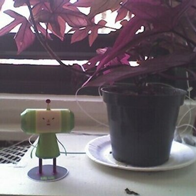 Profile Picture of Haelim (@haelim) on Twitter