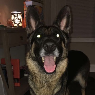 Profile Picture of Mr. James Paul Barter Jr (@MrJamesPaulBar1) on Twitter