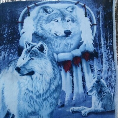 Danielle Millett - Twitter Profile Picture of Danielle Millett (@@HuskyWolf0211) on Twitter