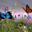 Profile Picture of Marsha Wentzell (@freehippie) on Pinterest