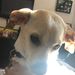 Profile Picture of Alexa Barrick (@alexabarrick) on Pinterest