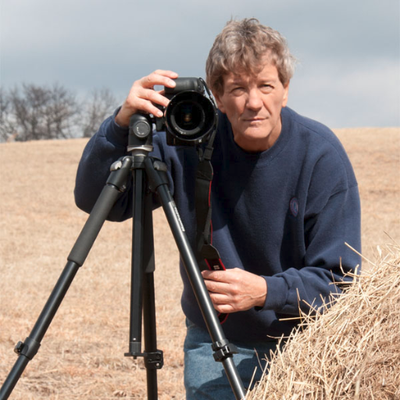 Profile Picture of Dan Carmichael (@FineArtPic) on Twitter