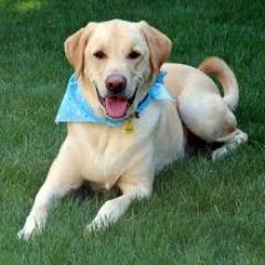 Profile Picture of Peter Rimmer (@peterrimmer9) on Twitter