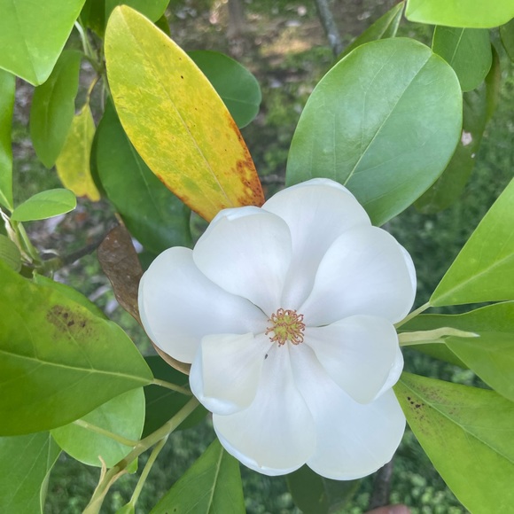 Profile Picture of Evan Walker (@ewalk101) on Poshmark