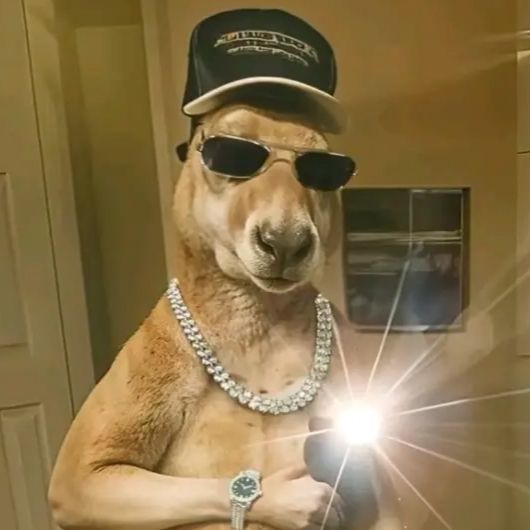 Profile Picture of David🔥✝️ (@david_ag09) on Tiktok