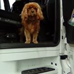 Profile Picture of Graham Knapp (@knappgraham) on Instagram