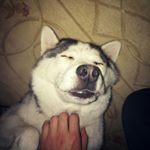 Profile Picture of Abel Rodríguez Rodríguez (@abelrodriguez95) on Instagram