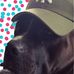 Profile Picture of Adam Gonsalves (@adam.gonsalves.737) on Facebook