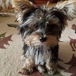 Profile Picture of Bill Margopoulos (@billmargopoulos) on Instagram