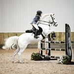Profile Picture of Lucie Edwards Showjumping (@lucie_jumps) on Instagram