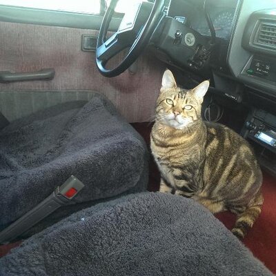 Profile Picture of Dan Dwight Fode (@danfode) on Twitter