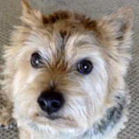 Profile Picture of Ingrid Engel (@ingrid-engel) on Quora