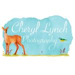 Profile Photo of Cheryl Lynch (@cheryllynchphotography) on Instagram