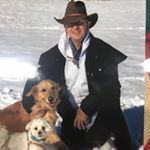 Profile Picture of Alastair Brooke Colquhoun (@alastairbrookecolquhoun) on Instagram