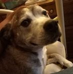 Profile Picture of Devin Edmonds (@devin.edmonds.50) on Facebook