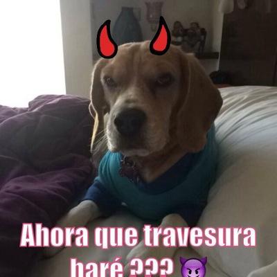 Profile Picture of Jaime Carbonell (@@james_carbonell) on Twitter