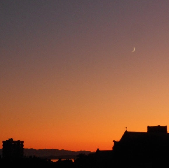 Profile Picture of Lisa Rogers (@lmr9008) on Poshmark