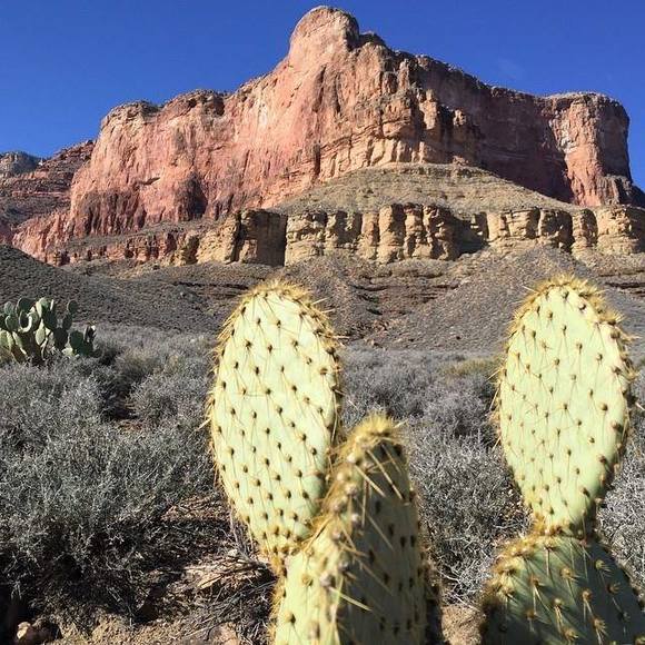 Profile Picture of Drienne Eorge (@my2wistedmind) on Poshmark