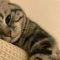 Profile Picture of Junelle Wilfred Manuel (@junelle-wilfred-manuel) on Quora