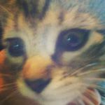 Skyler Snyder - Instagram Profile Picture of Skyler Snyder (@gary2018snyder) on Instagram