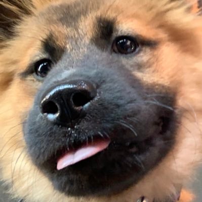 Profile Picture of Sammy (@key_west_sam) on Twitter