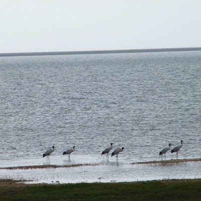 Profile Picture of Joyce Liu (@joyceliu2005) on Twitter