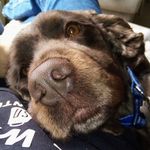 Profile Picture of Tripp Martin (@tripp.martin) on Instagram