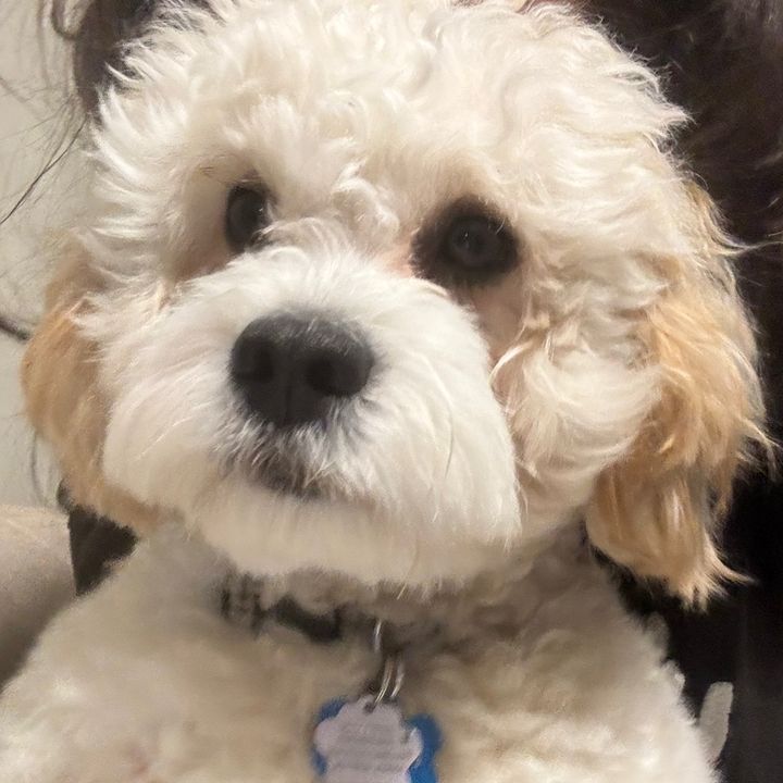 Profile Picture of .lorigg (@.lorigg) on Tiktok