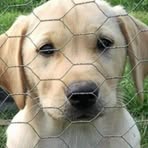 Profile Picture of Mark Ormiston (@mark.ormiston.52) on Facebook