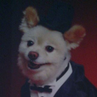 Profile Picture of Michael Sylve (@michael.sylve.12) on Facebook