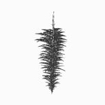 Profile Picture of Aarón Gonzalez 🇫🇷 (@stranger.humans) on Instagram