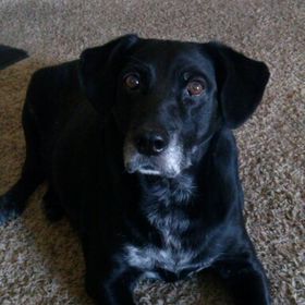 Profile Picture of Jeffery hall (@jhall3952) on Pinterest