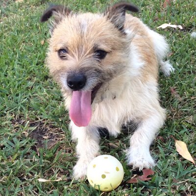 Profile Picture of Jacob Desantis (@@JacobJdesantis) on Twitter