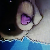 Profile Picture of Travis Fore (@travisfore3037) on Youtube