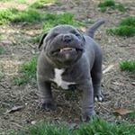 Profile Picture of Björn Breuer (@breuerbjoern) on Instagram