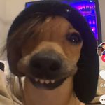 Profile Picture of Scott Crouthamel (@crouthamelscott) on Instagram