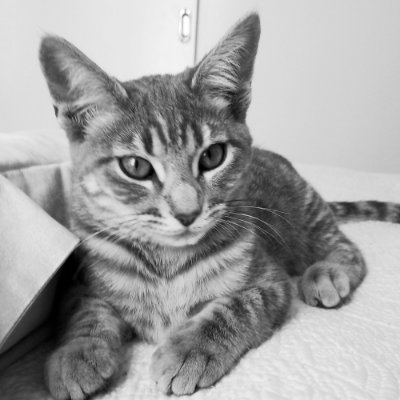 Profile Picture of Euni Martin (@EuniceM94576014) on Twitter