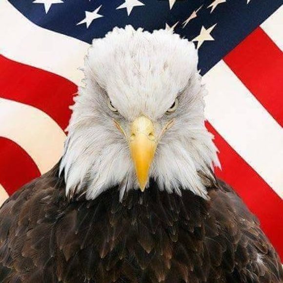 Profile Picture of Harry James (@scooterxxl) on Poshmark