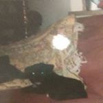 Profile Picture of Brian Brummett (@brummettbrian) on Instagram