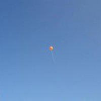 Profile Picture of Gerri Walters Powell (@gerri-walters-powell) on Quora