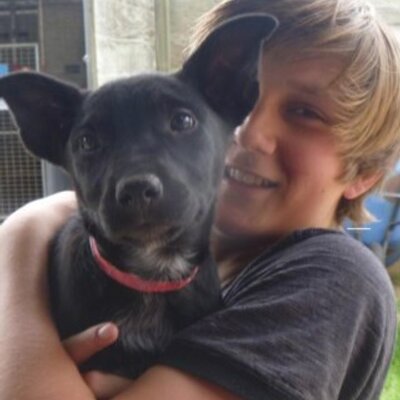 Profile Picture of Ben Raper (@RaperBenny) on Twitter