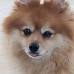 Profile Picture of derek exner (@derek.exner) on Instagram